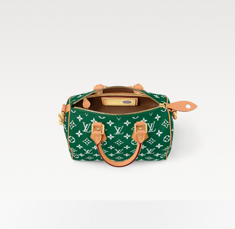 LOUIS VUITTON SPEEDY P9 BANDOULIÈRE 25 Green