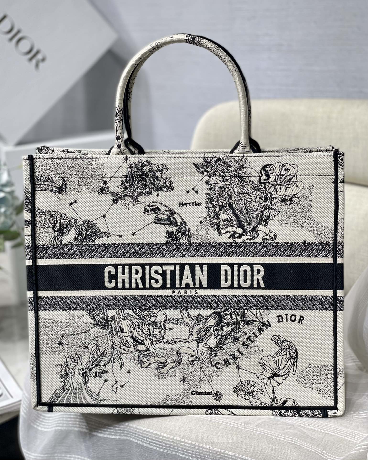 Diro Small Book Tote