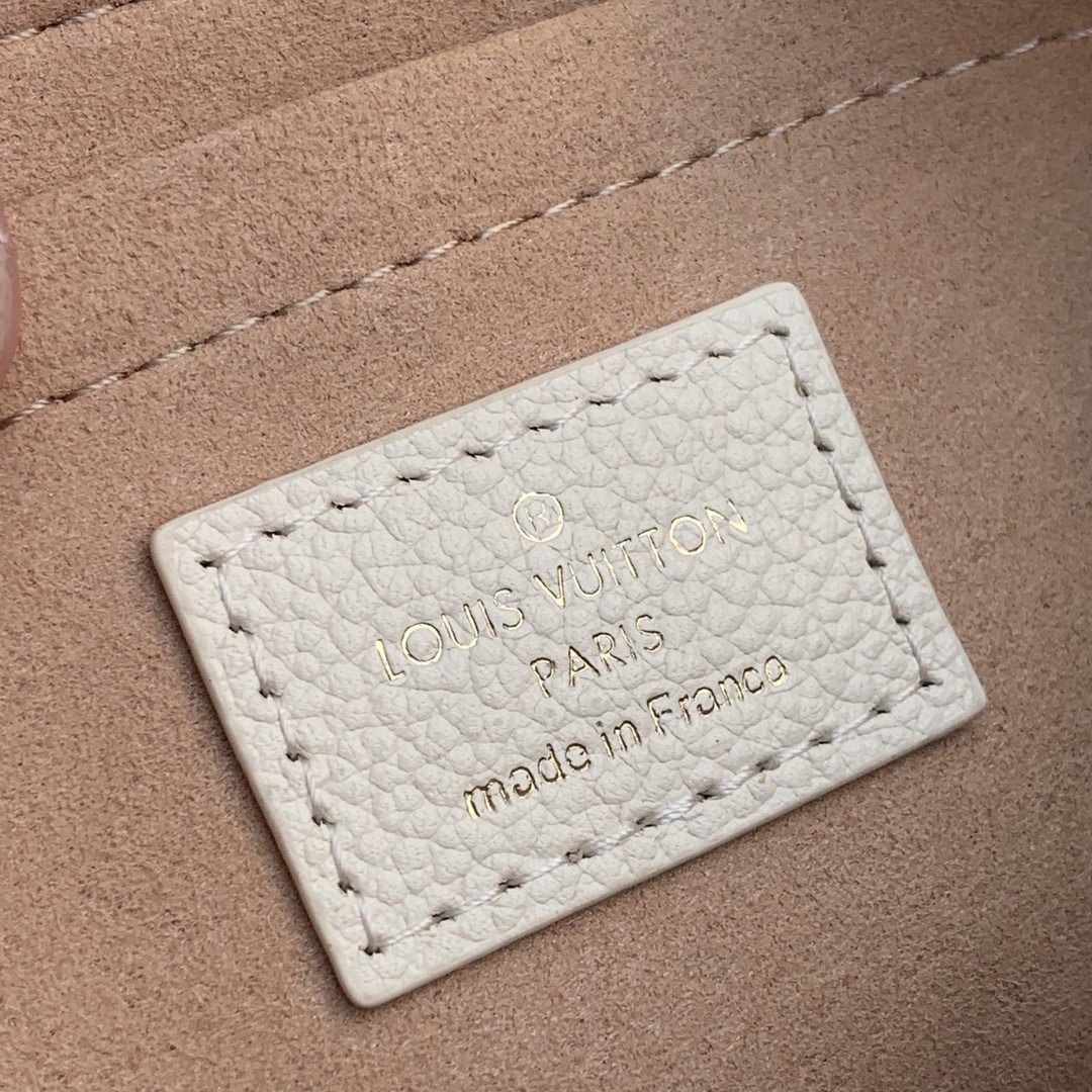 Louis Vuitton Multi Pochette Accessories-24 x 13.5 x 4CM