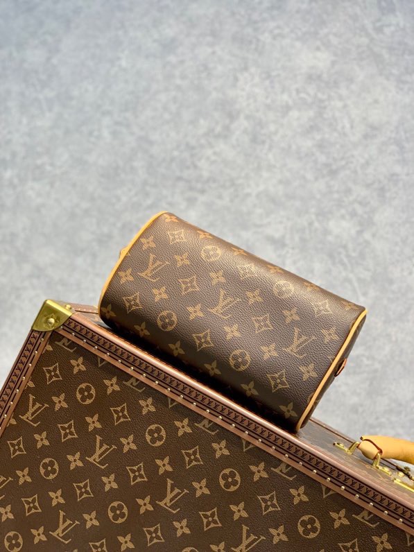 Louis Vuitton Handbags-23*13*14CM