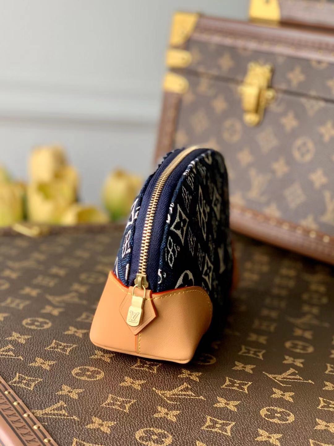 Louis Vuitton Since 1854 Cosmetic Bag-19*12*6CM Louis Vuitton Since 1854 Cosmetic Bag-19*12*6CM
