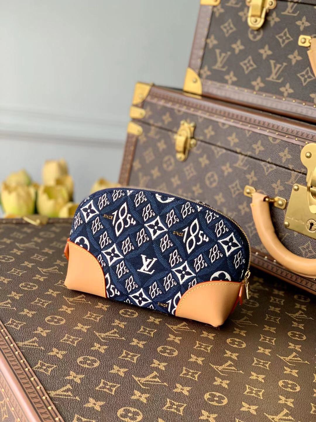 Louis Vuitton Since 1854 Cosmetic Bag-19*12*6CM
