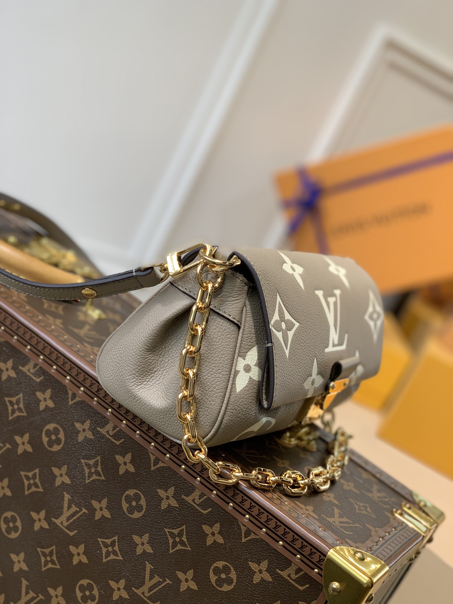 Louis Vuitton Favorite M45819-24 x 14 x 9CM
