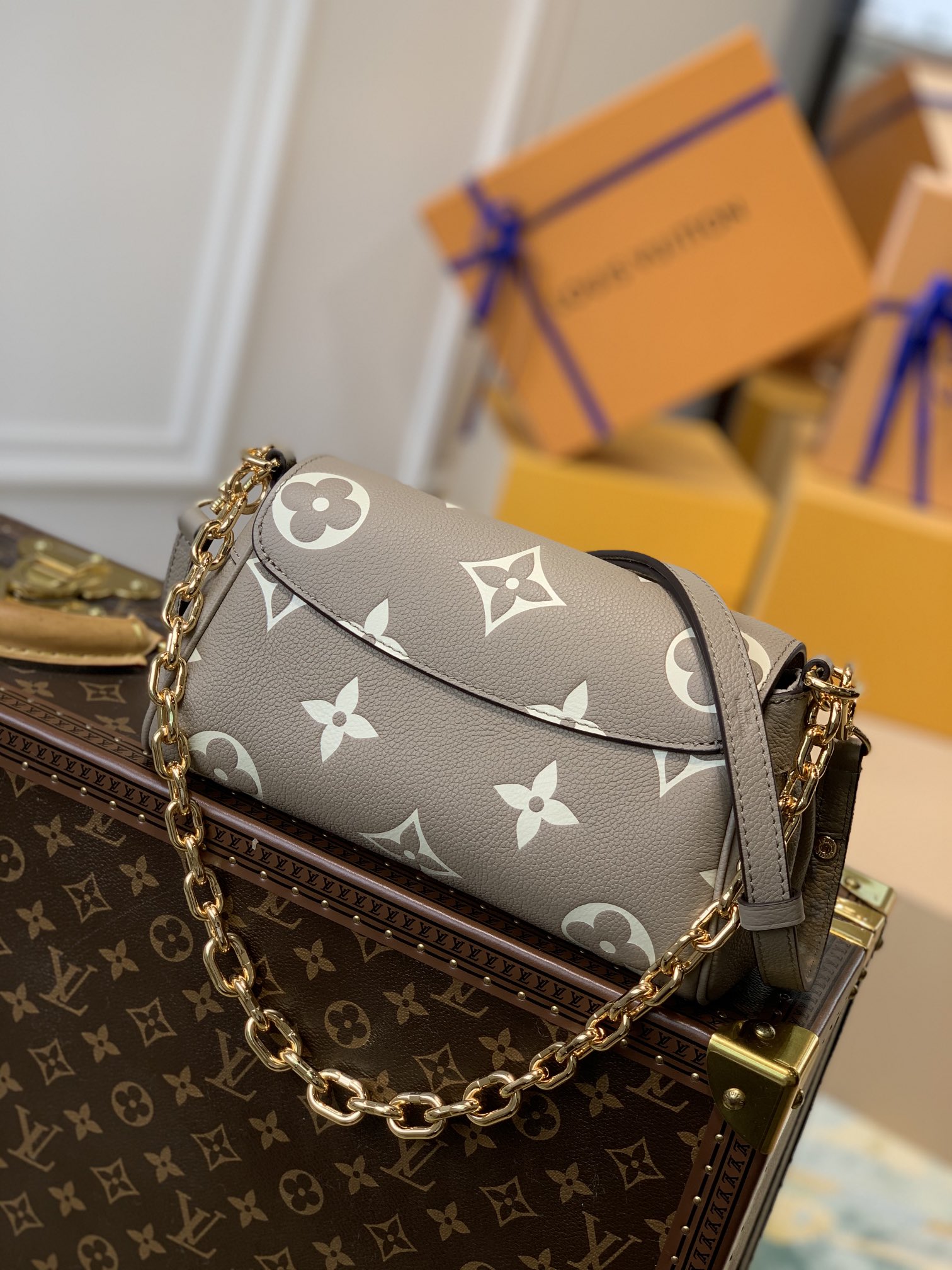 Louis Vuitton Favorite M45819-24 x 14 x 9CM Louis Vuitton Favorite M45819-24 x 14 x 9CM