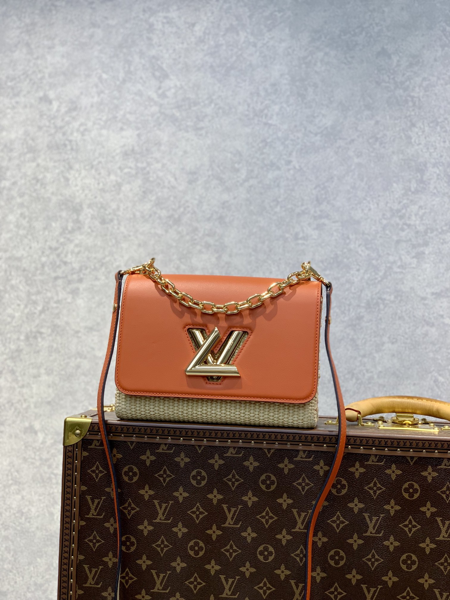 Louis Vuitton Twist MM-23*18*8CM