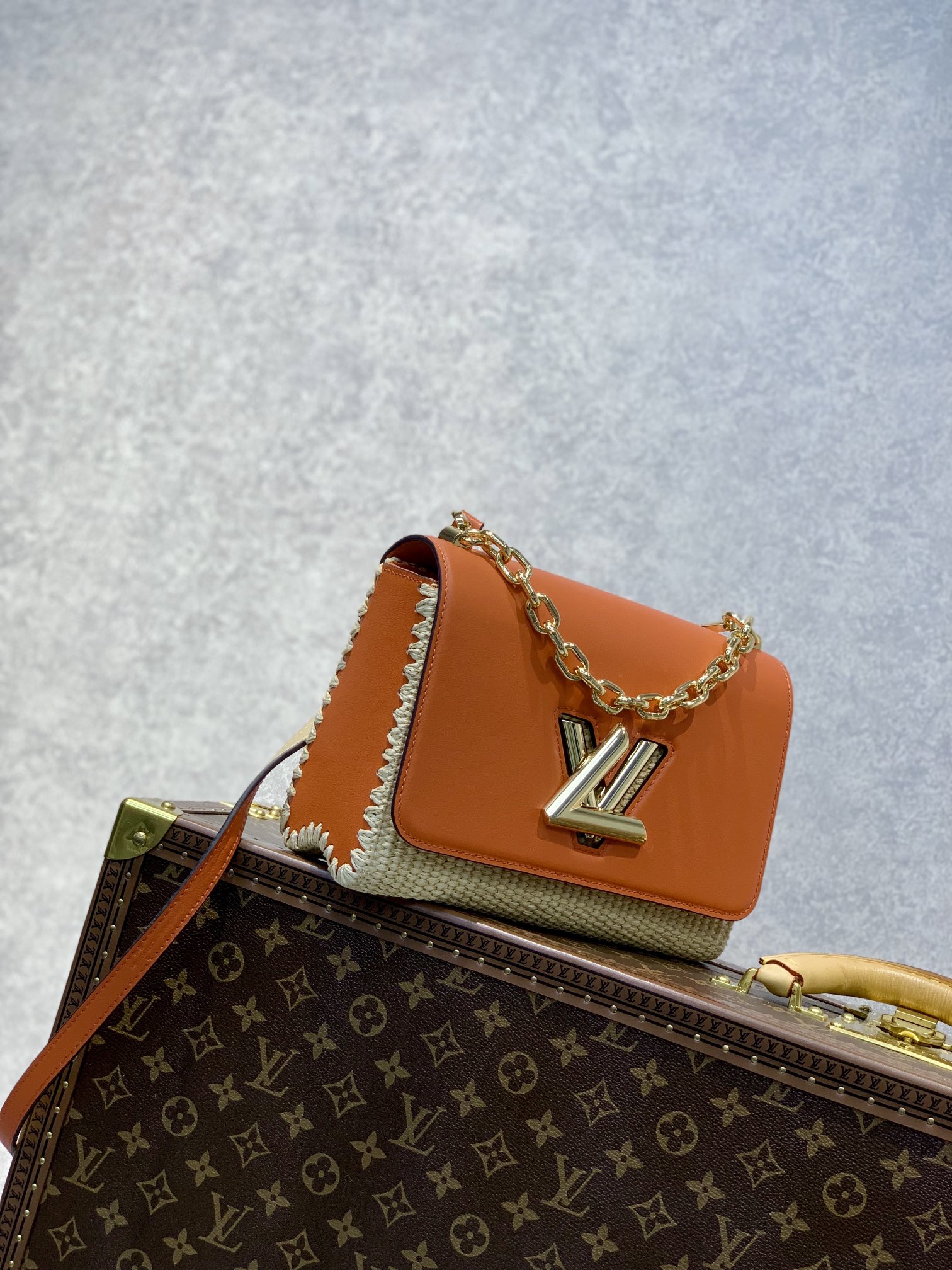 Louis Vuitton Twist MM-23*18*8CM