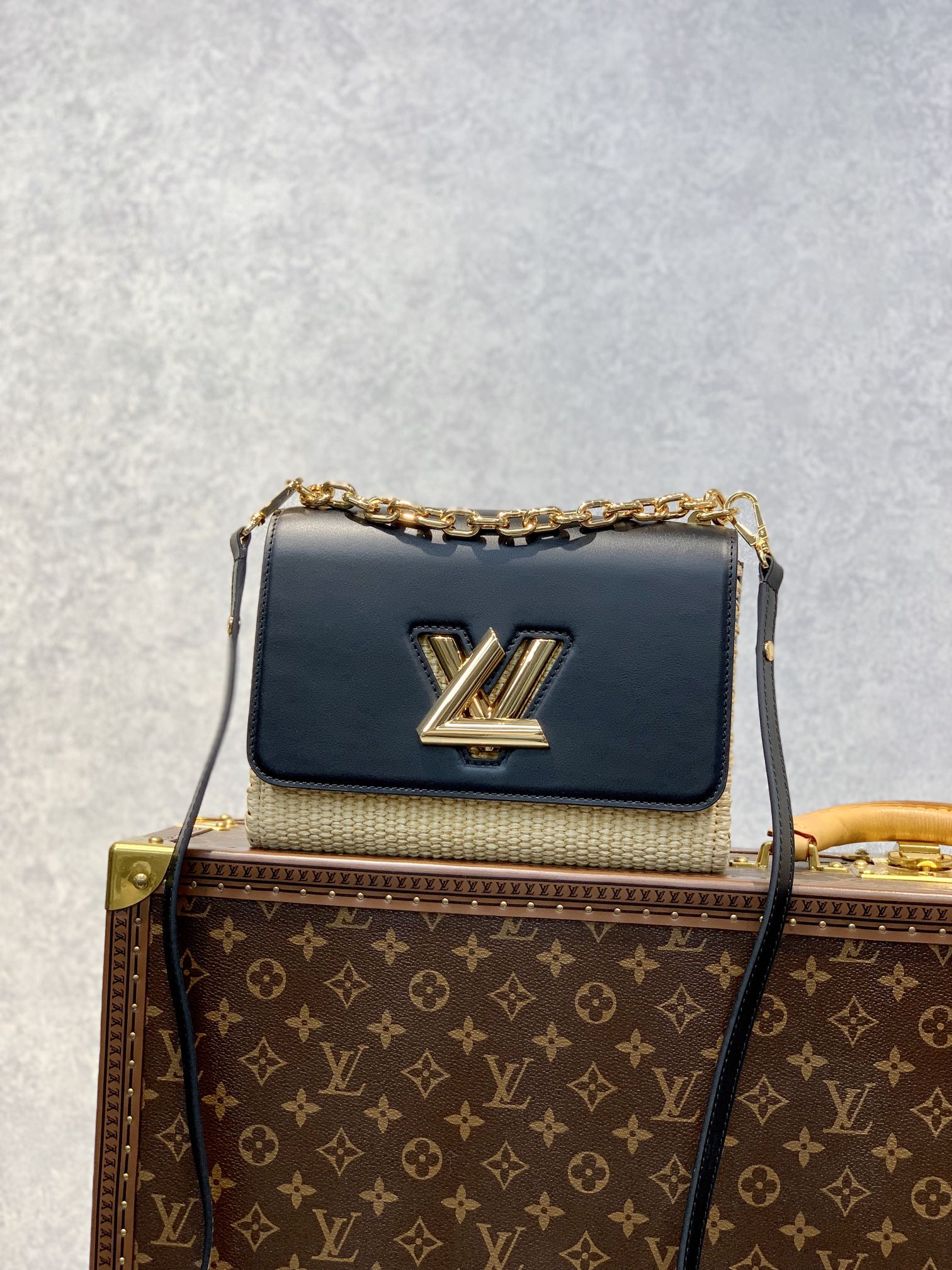 Louis Vuitton Twist MM-23*18*8CM
