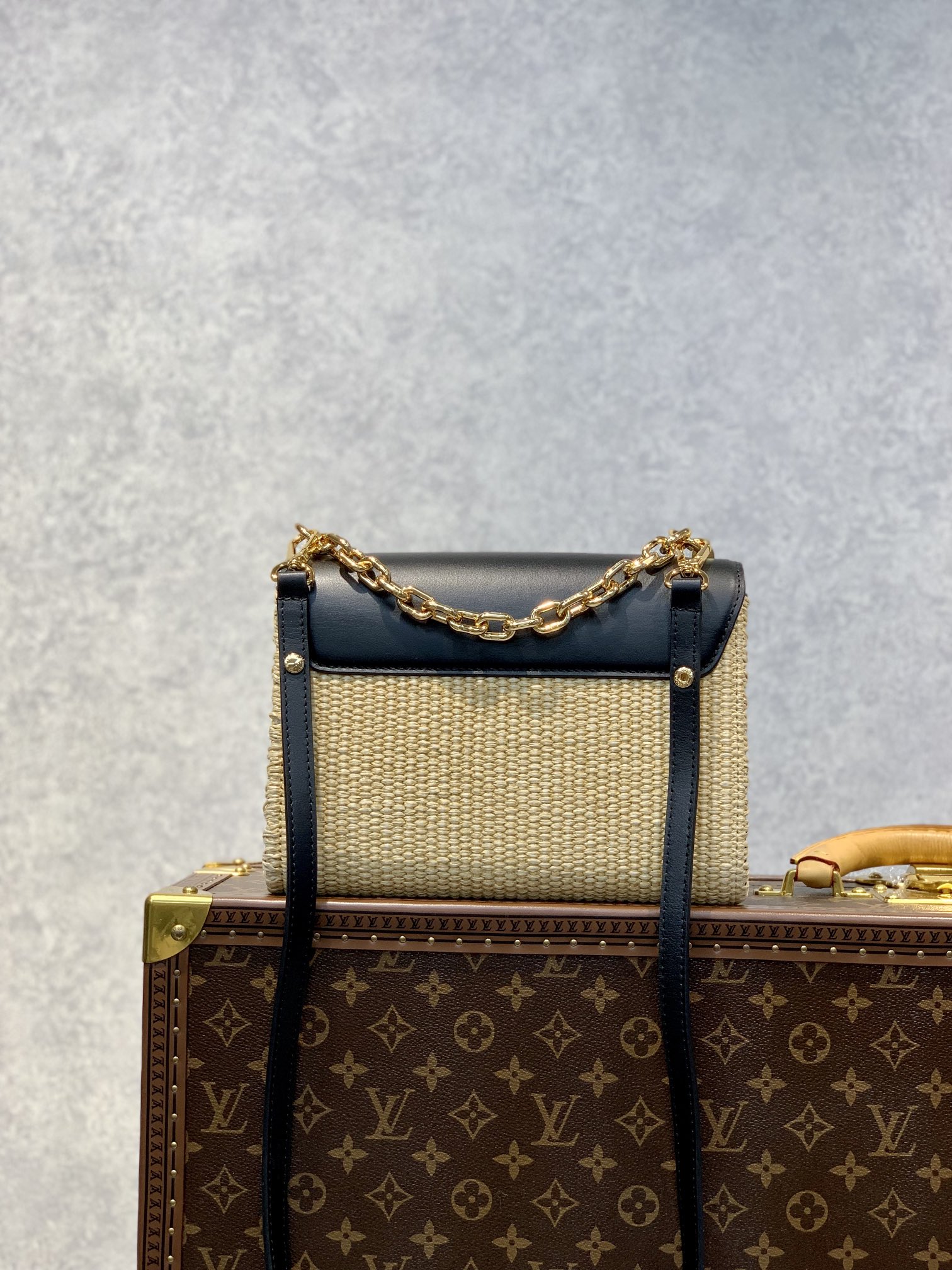 Louis Vuitton Twist MM-23*18*8CM