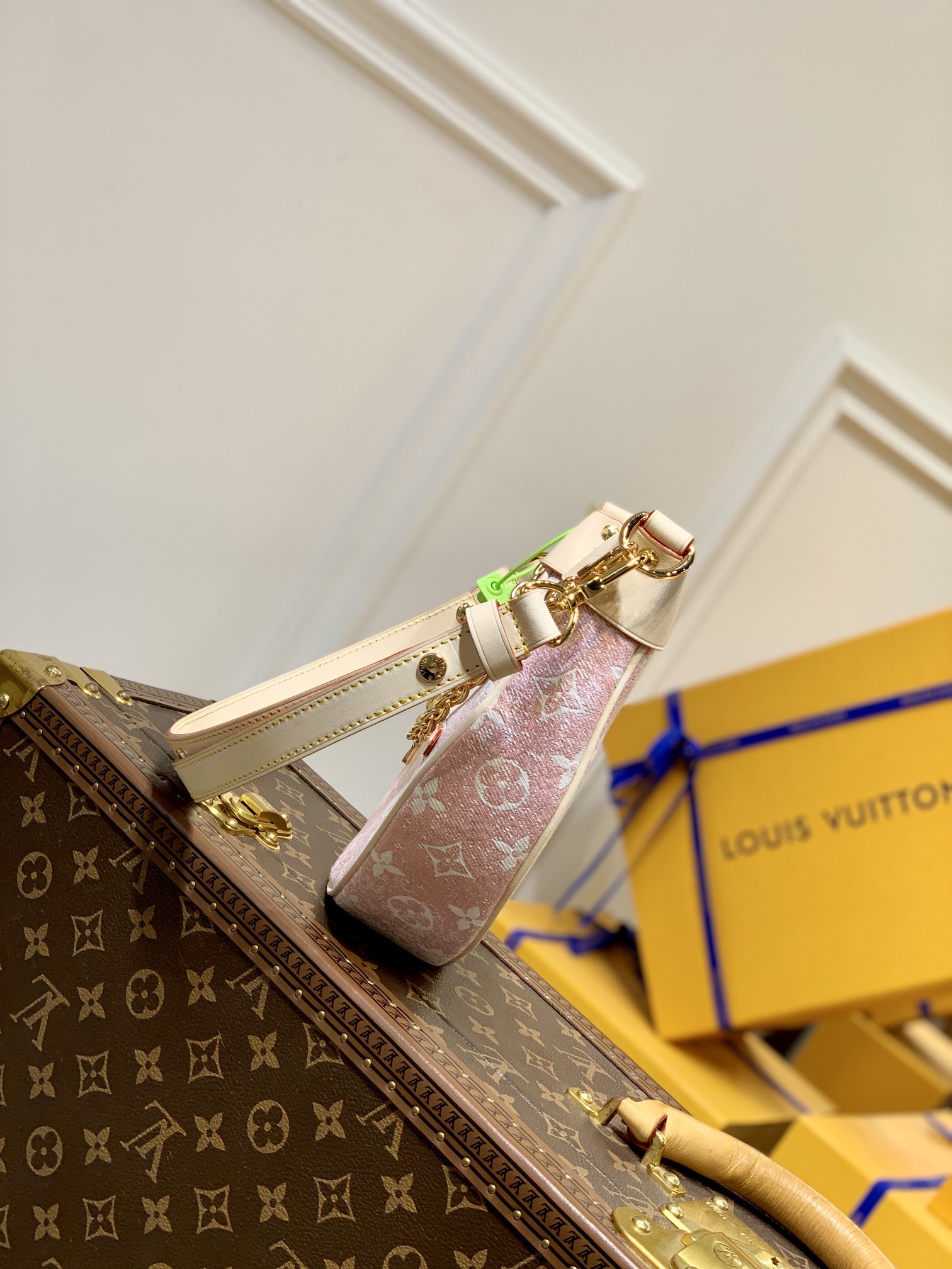 Louis Vuitton Loop Handbags-M810981-23*13*6CM