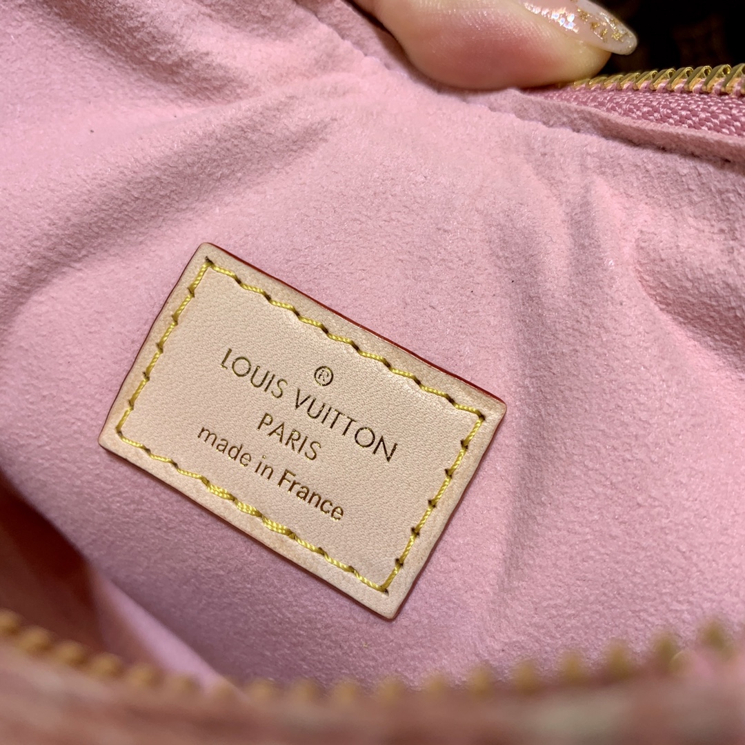 Louis Vuitton Loop Handbags-M810981-23*13*6CM