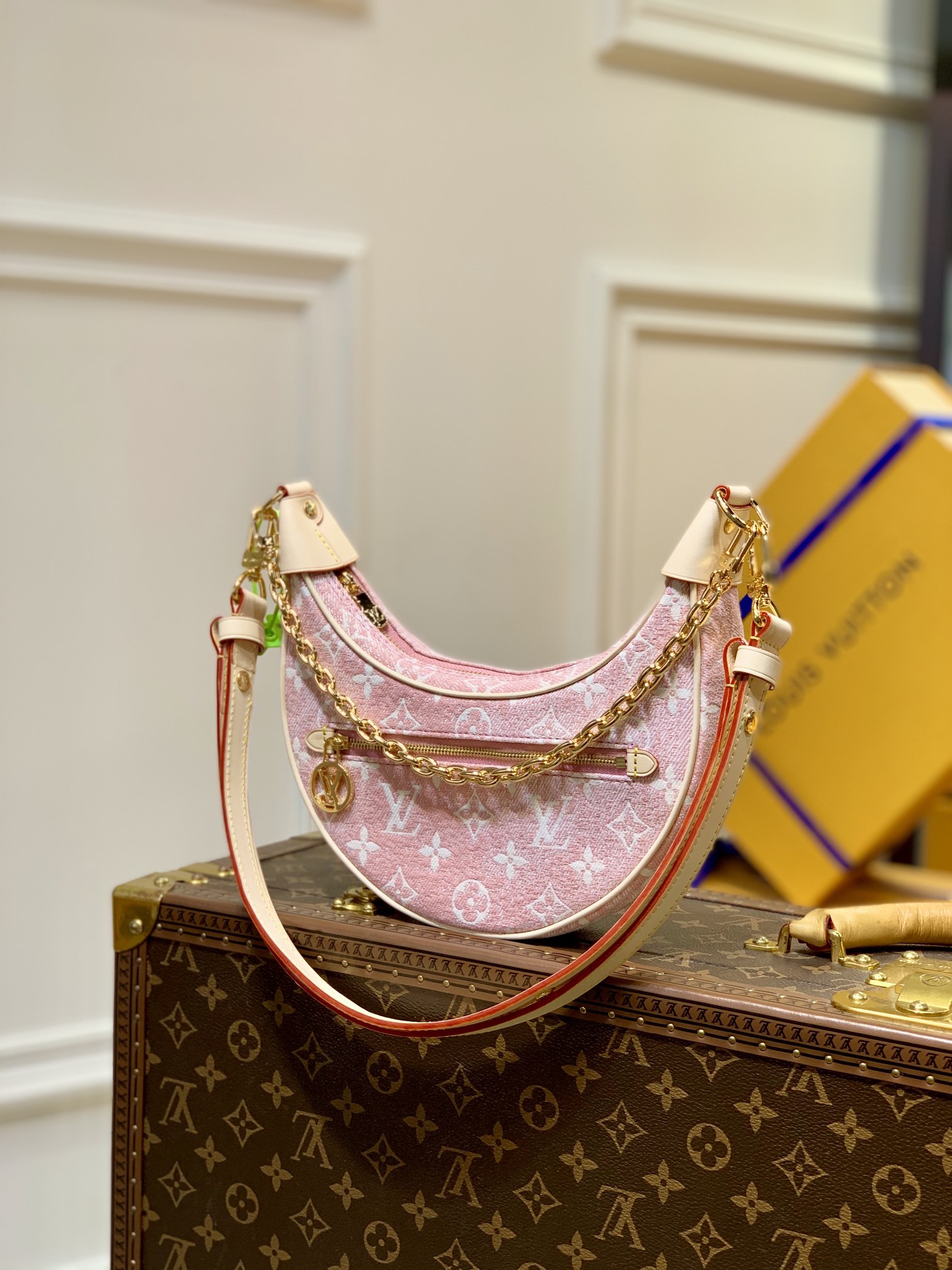 Louis Vuitton Loop Handbags-M810981-23*13*6CM