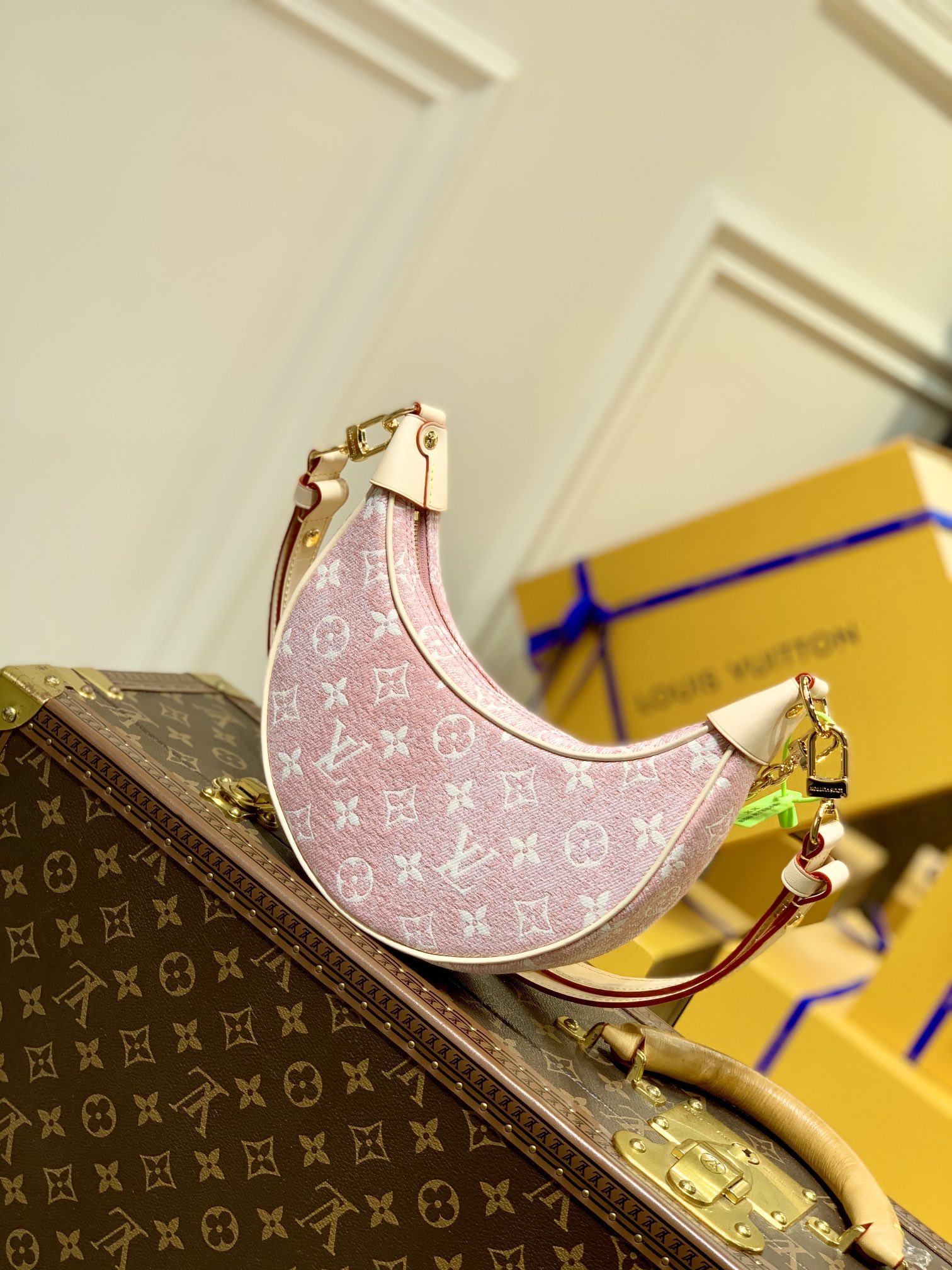 Louis Vuitton Loop Handbags-M810981-23*13*6CM