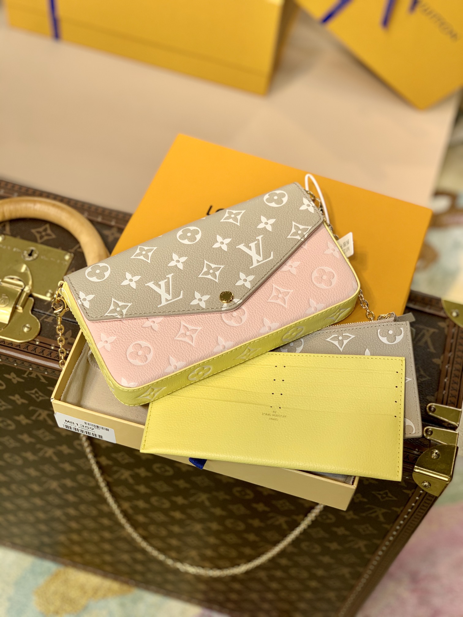 Louis Vuitton Spring in the City Pochette Félicie Wallet -21*12*3CM
