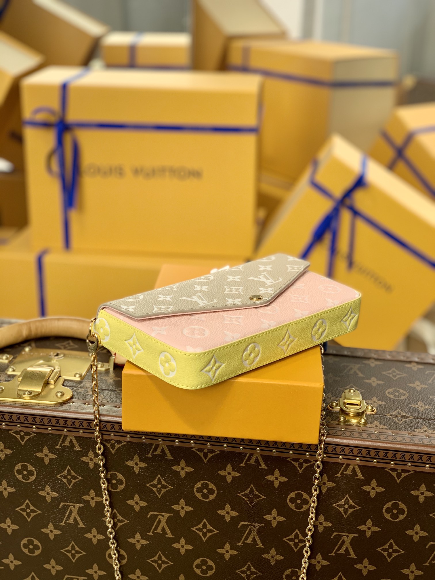 Louis Vuitton Spring in the City Pochette Félicie Wallet -21*12*3CM