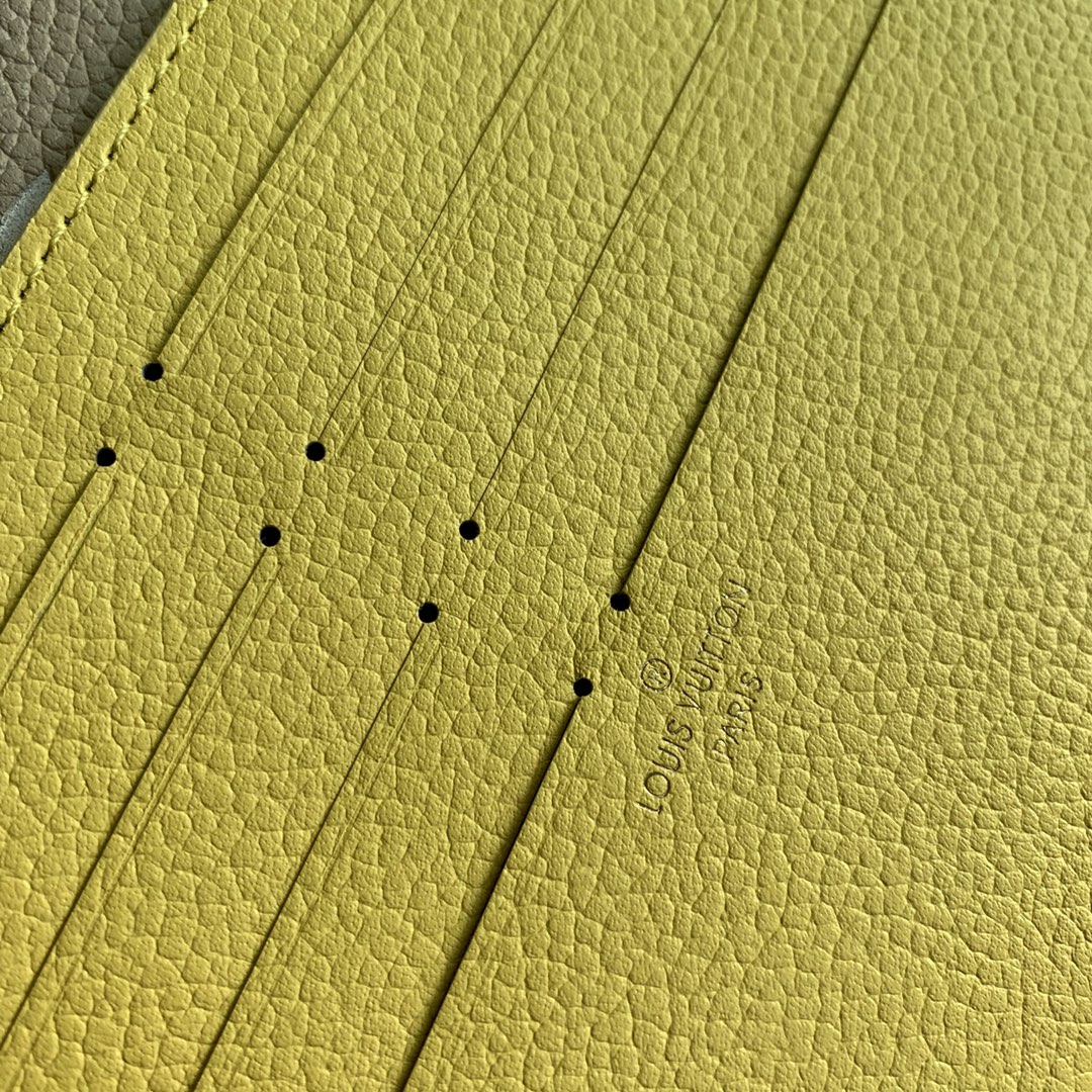 Louis Vuitton Spring in the City Pochette Félicie Wallet -21*12*3CM