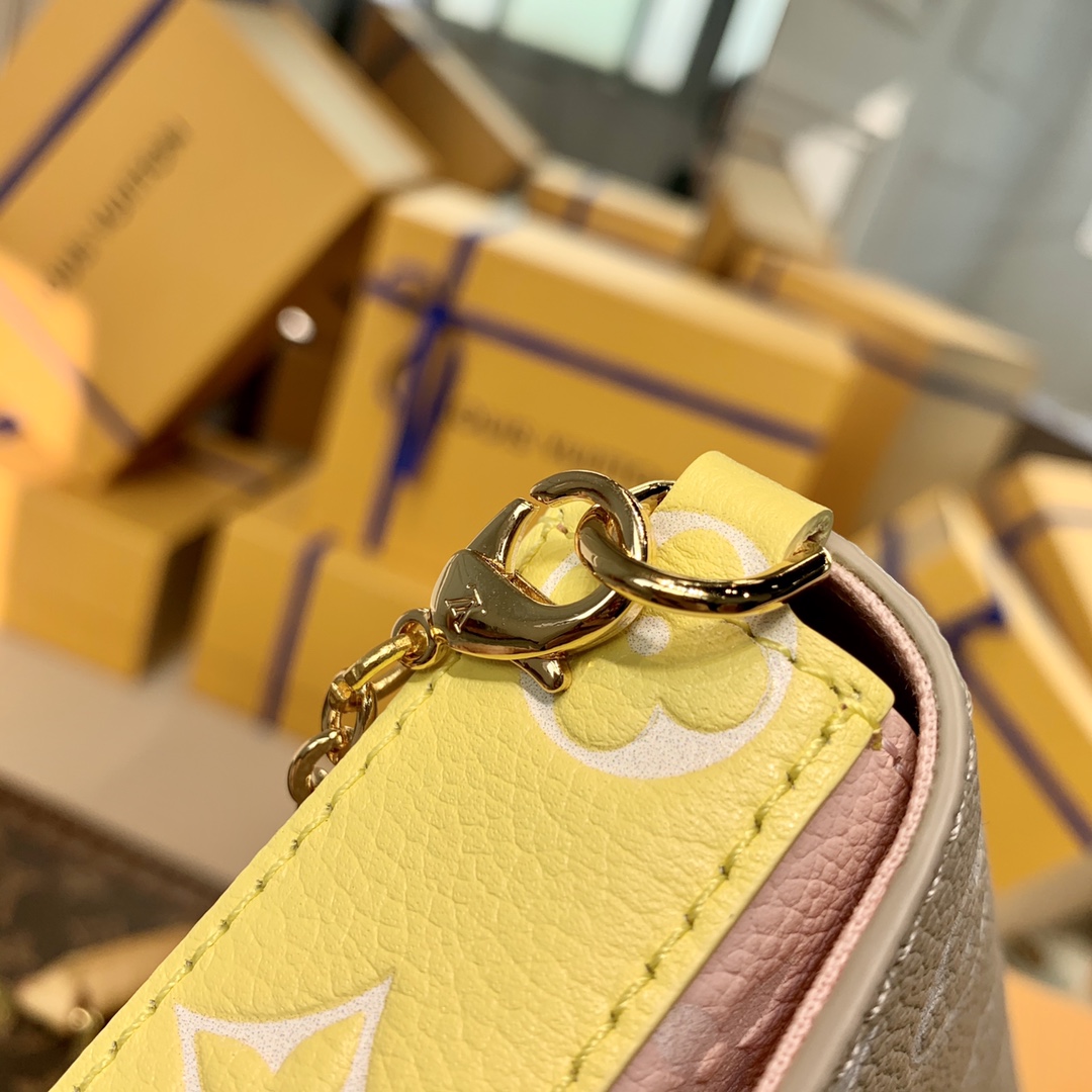 Louis Vuitton Spring in the City Pochette Félicie Wallet -21*12*3CM
