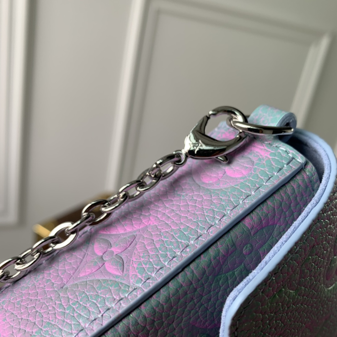 Louis Vuitton Pochette Félicie Wallet -21*12*3CM