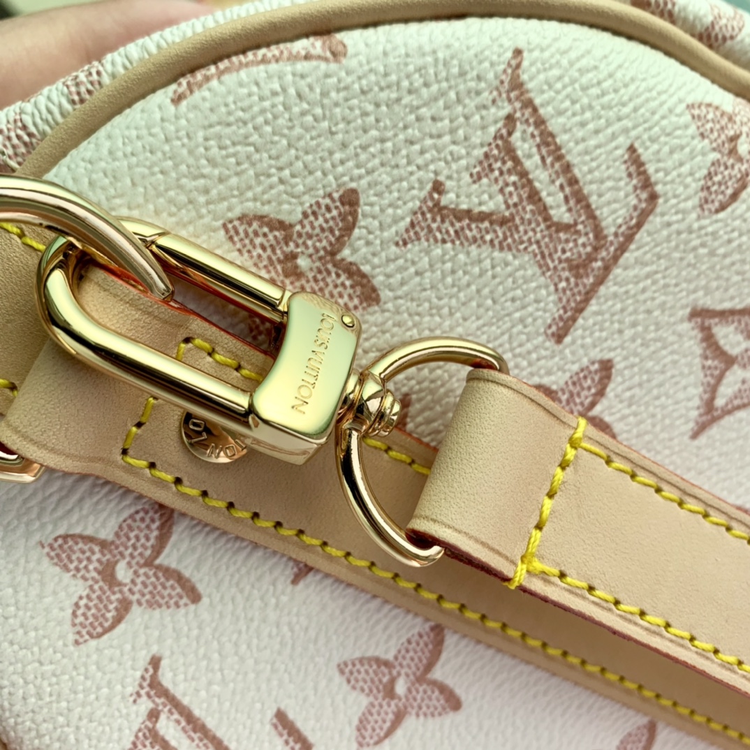 Louis Vuitton Speedy Shoulder 25-25*19*15CM