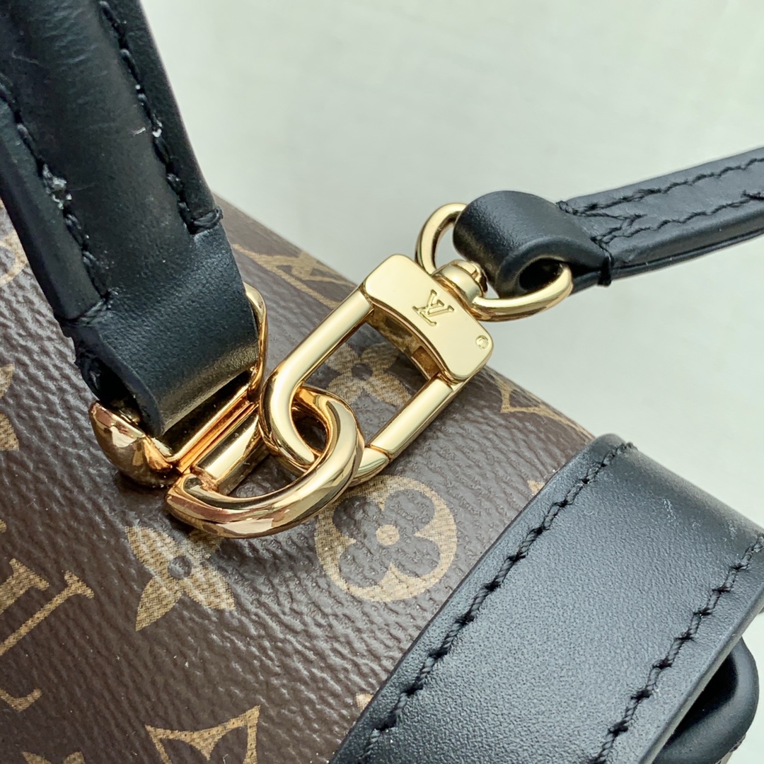 Louis Vuitton Trianon Handbags-21*18*11CM Louis Vuitton Trianon Handbags-21*18*11CM