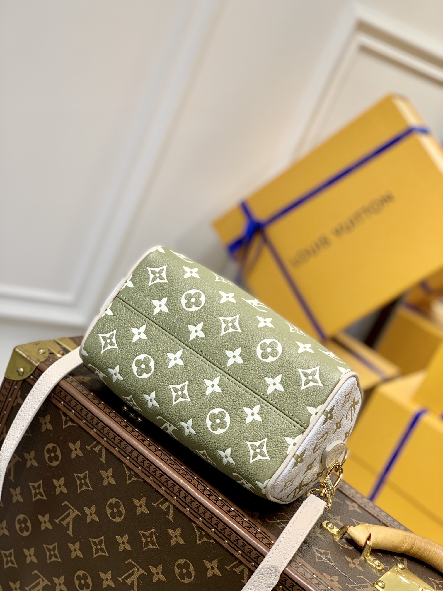 Louis Vuitton Speedy Bandoulière 20 -M46118-20*13.5*12CM