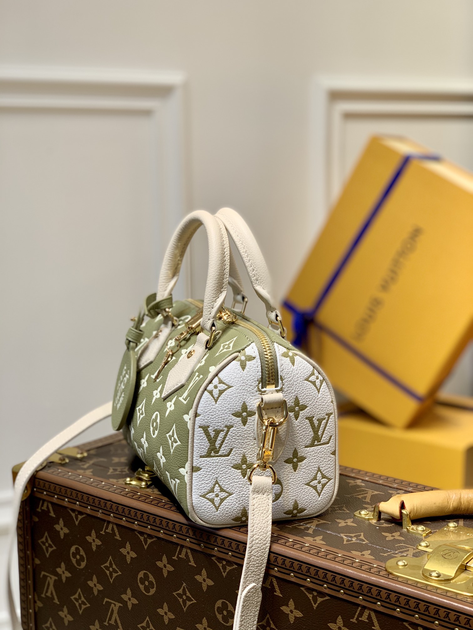 Louis Vuitton Speedy Bandoulière 20 -M46118-20*13.5*12CM