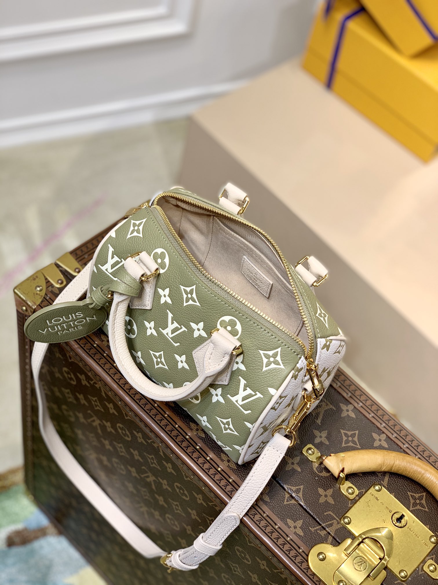Louis Vuitton Speedy Bandoulière 20 -M46118-20*13.5*12CM