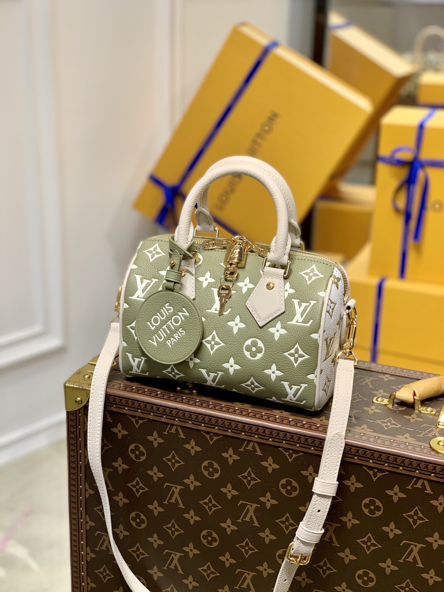 Louis Vuitton Speedy Bandoulière 20 -M46118-20*13.5*12CM