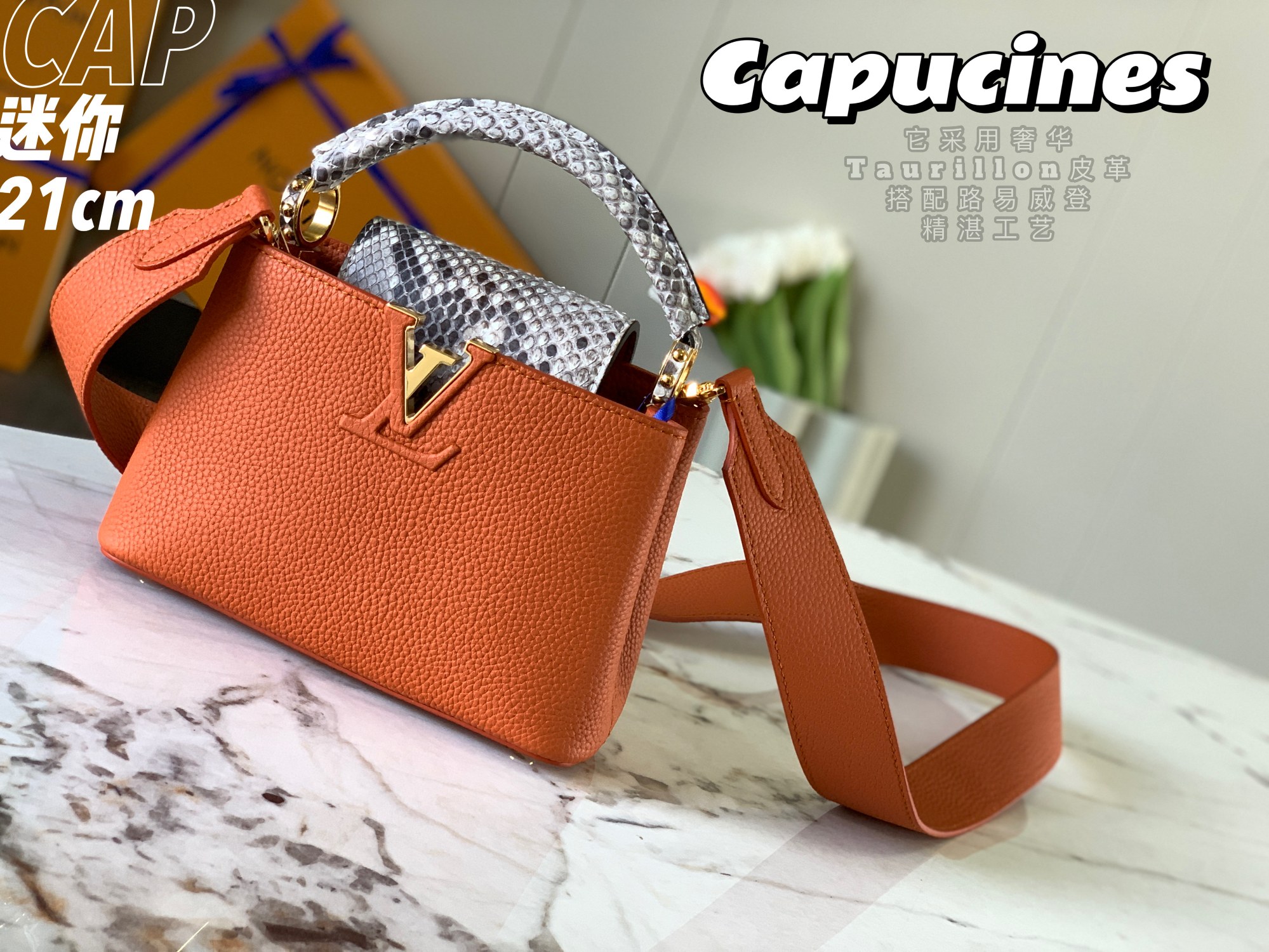 Louis Vuitton Mini Capucines Handlebag-21*14*8CM