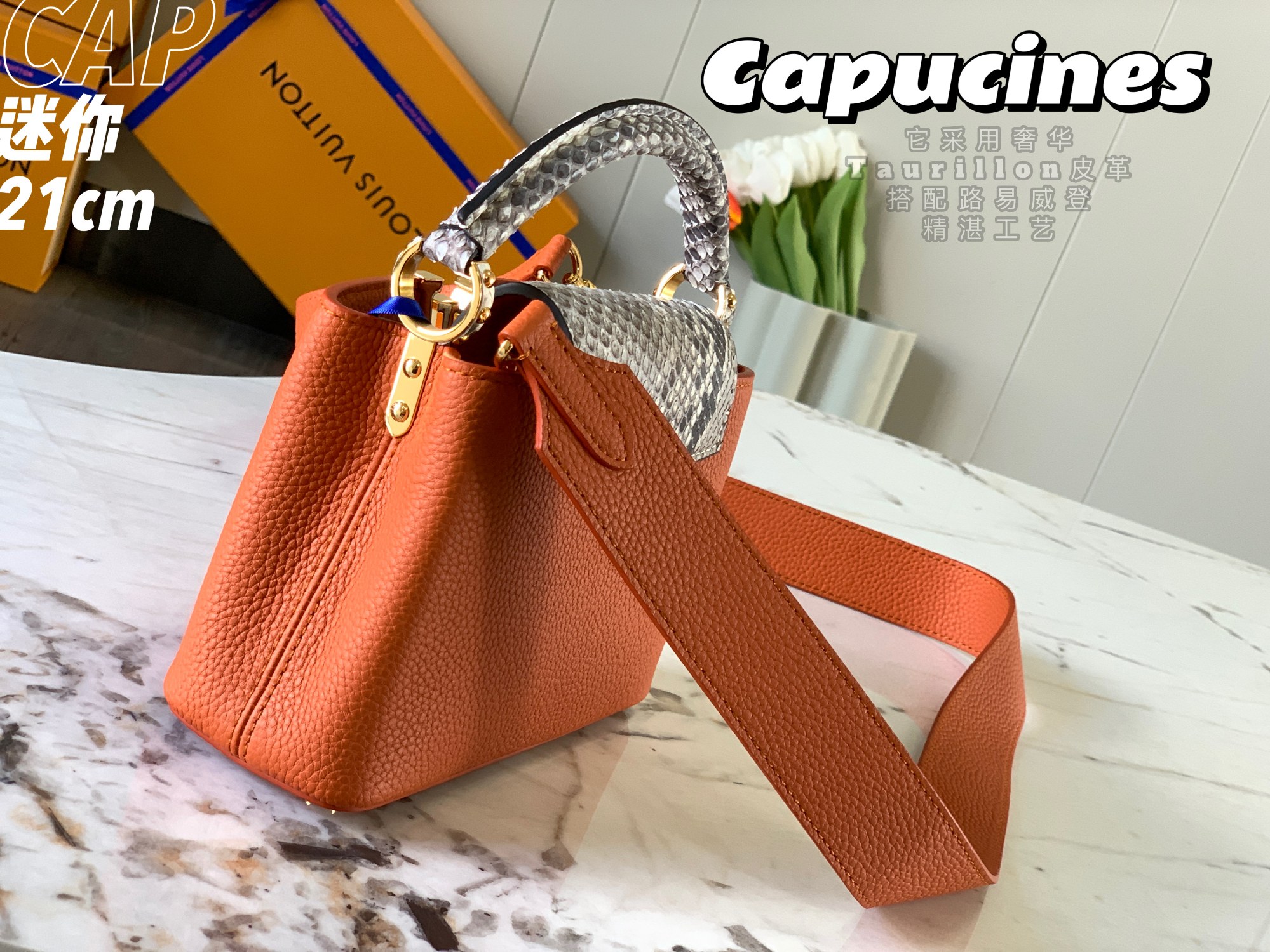 Louis Vuitton Mini Capucines Handlebag-21*14*8CM