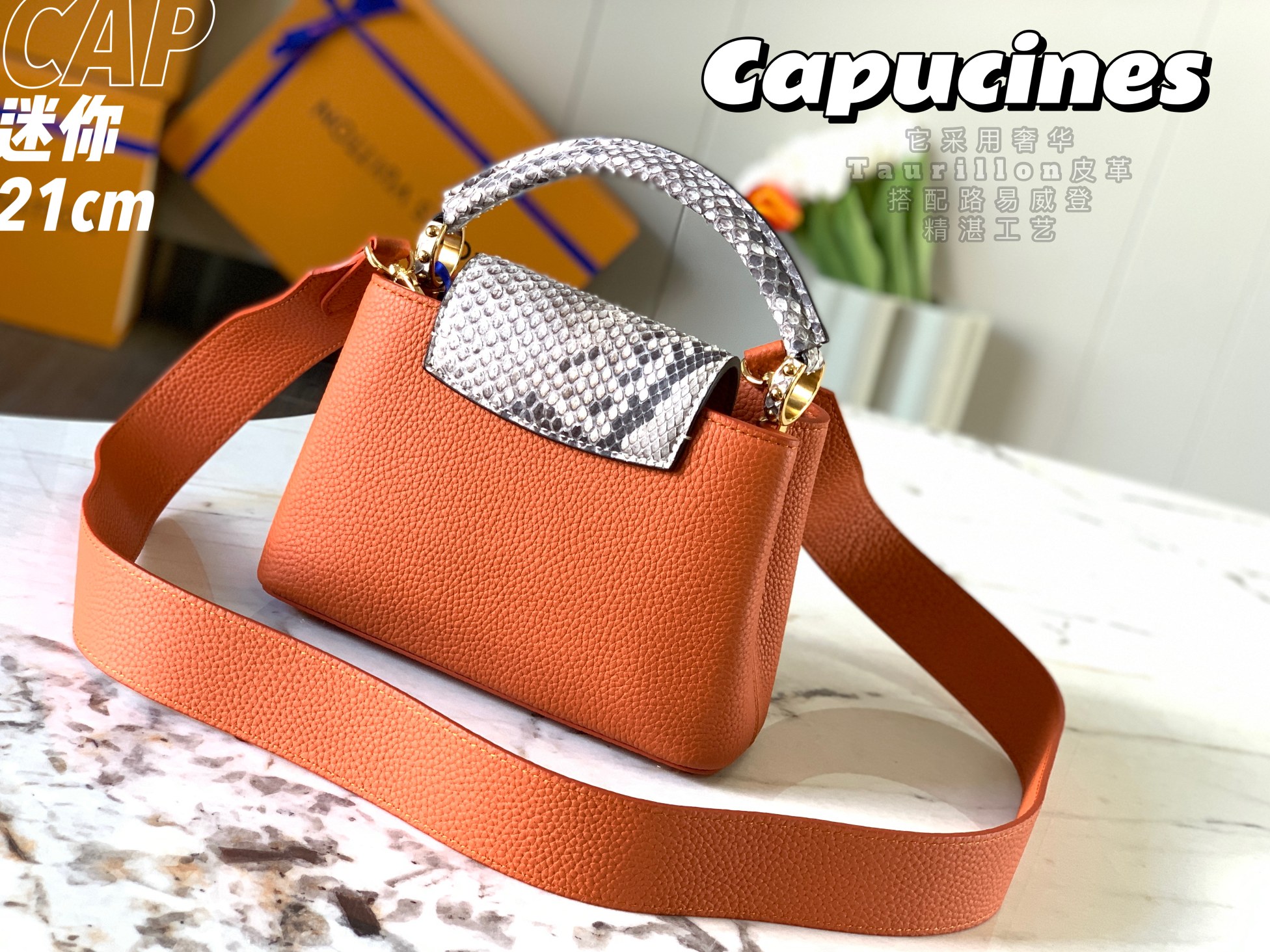 Louis Vuitton Mini Capucines Handlebag-21*14*8CM