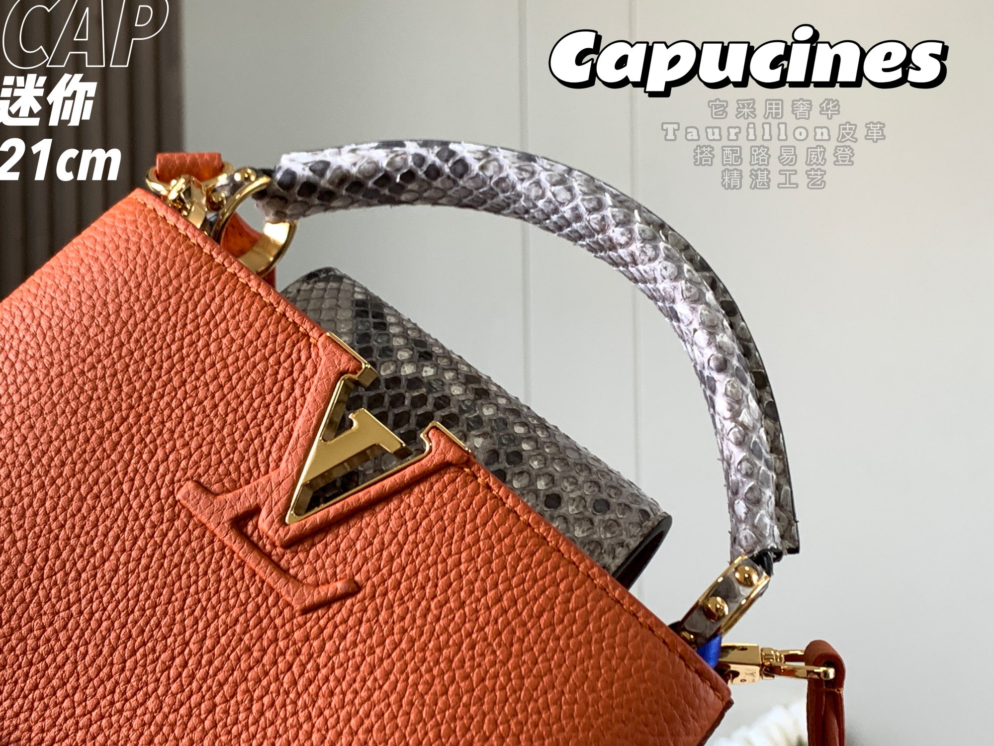 Louis Vuitton Mini Capucines Handlebag-21*14*8CM