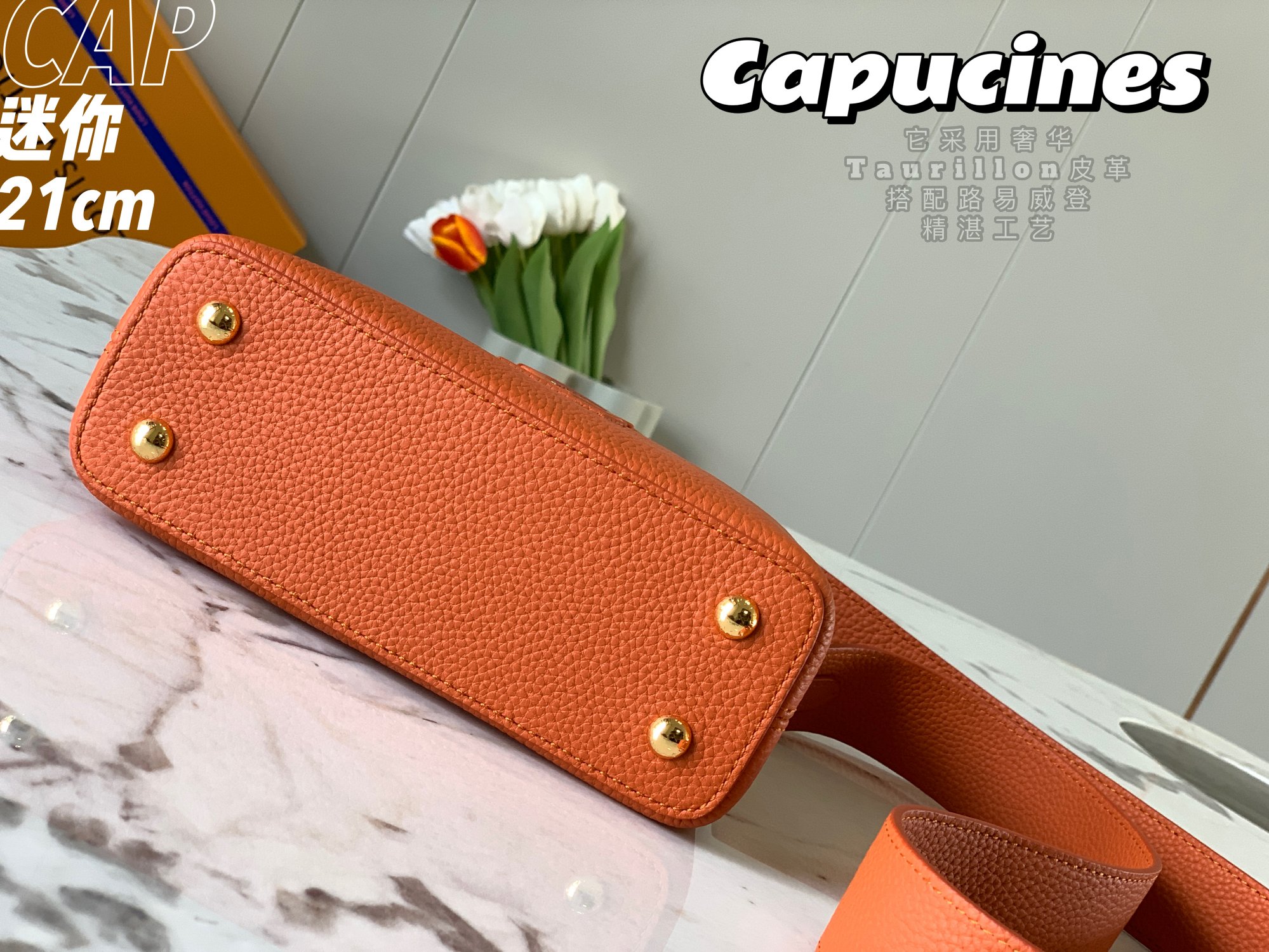 Louis Vuitton Mini Capucines Handlebag-21*14*8CM