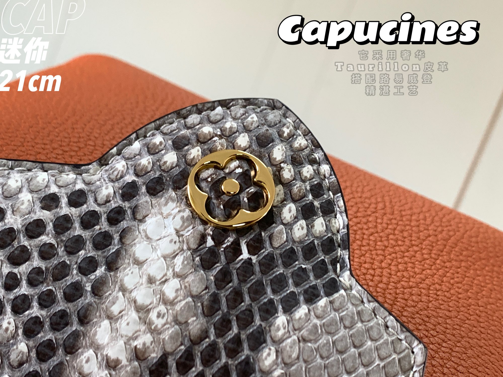 Louis Vuitton Mini Capucines Handlebag-21*14*8CM