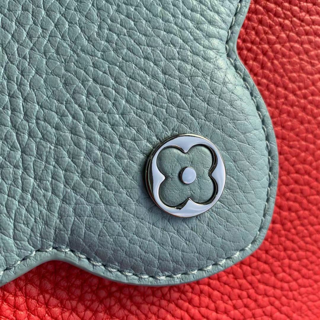 Louis Vuitton Mini Capucines Handlebag-21*14*8CM