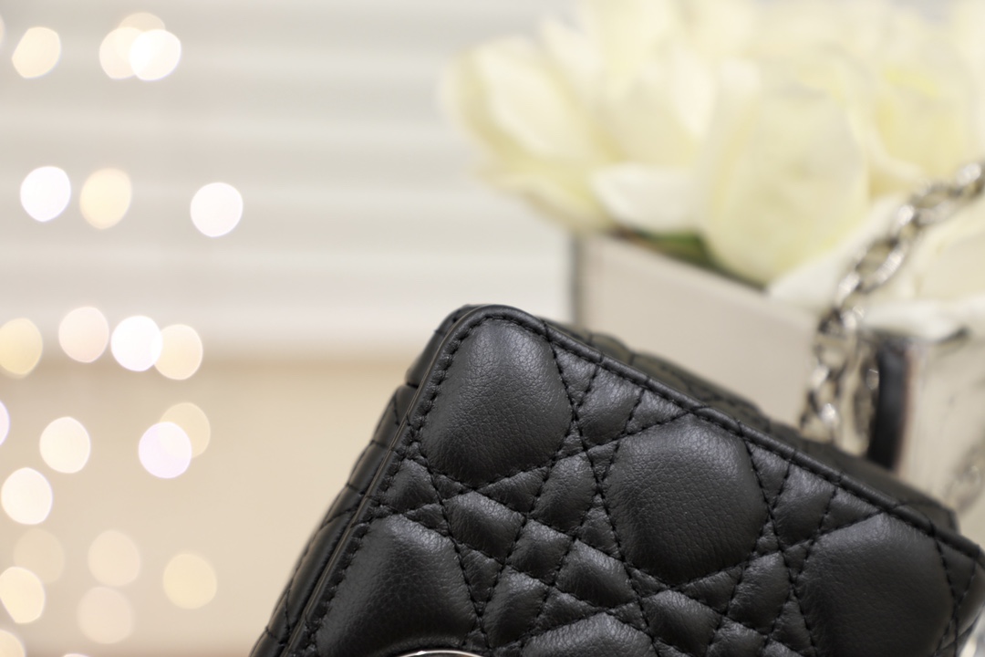 Diro 2021 Caro Bag-20*3*11CM