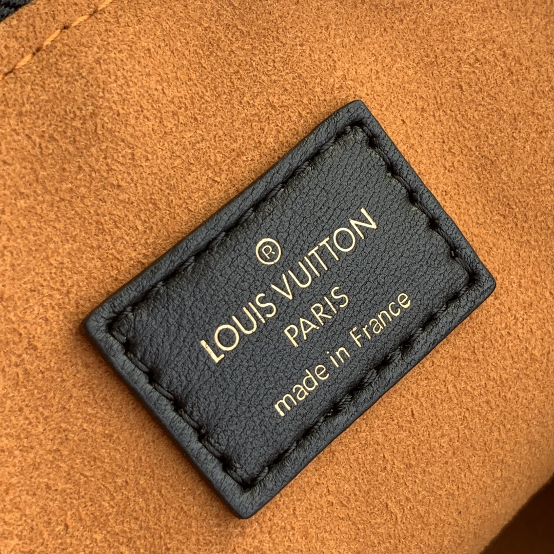 Louis Vuitton Coussin Handbags-34 ×24×12CM