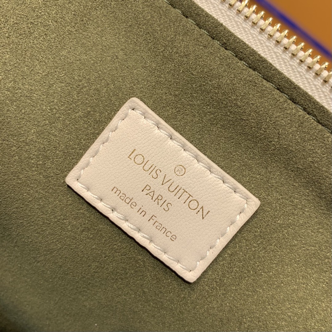Louis Vuitton Coussin Handbags-26*20*12CM