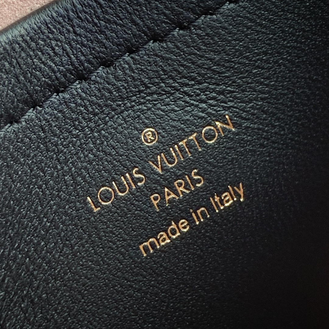 Louis Vuitton Pochette Coussin Chain Bag-20*14*8CM Louis Vuitton Pochette Coussin Chain Bag-20*14*8CM