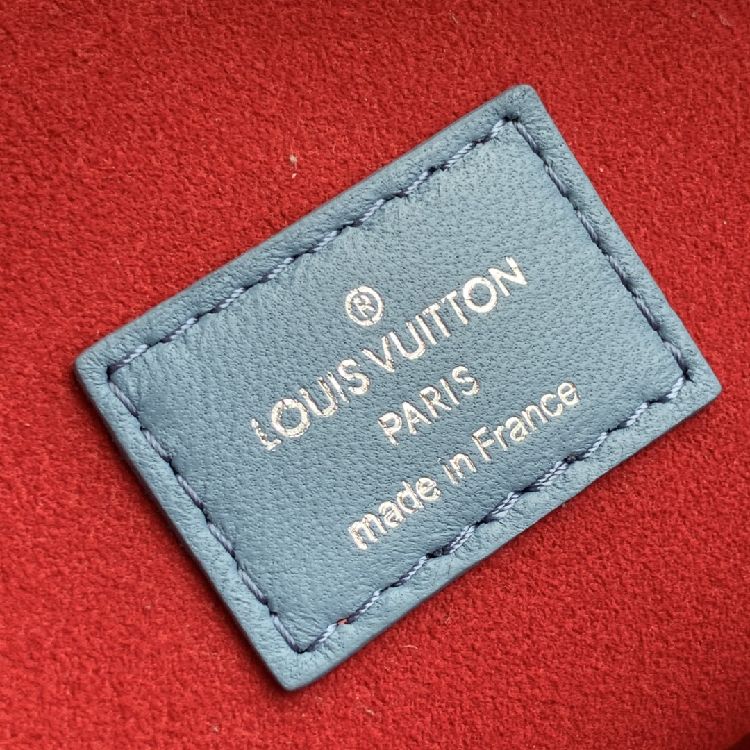 Louis Vuitton Coussin Handbags-26*20*12CM