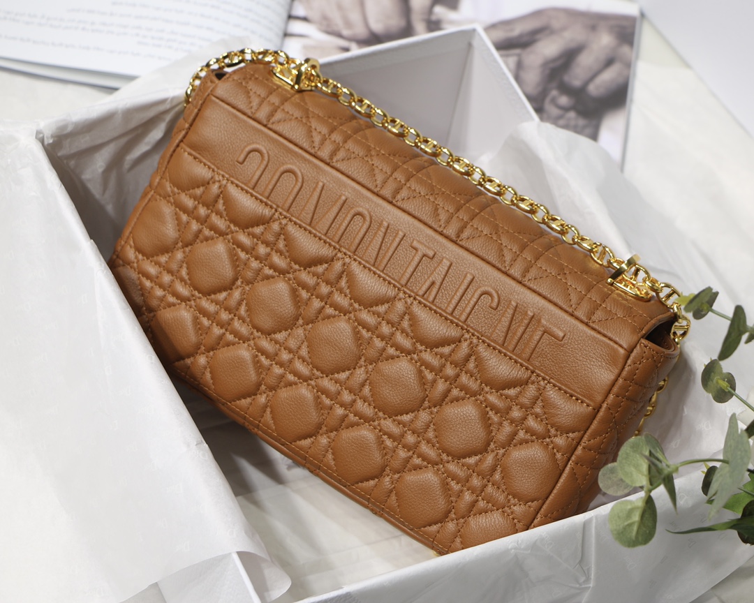 Diro 2021 Caro Bag-28*17*9CM