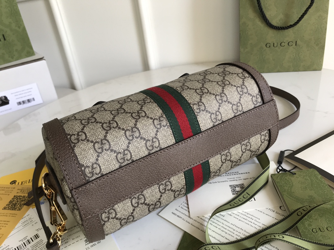 Gucci Ophidia Bag-26*14*14CM
