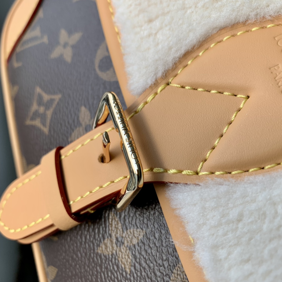 Louis Vuitton Diane Handbags-25*9*15CM
