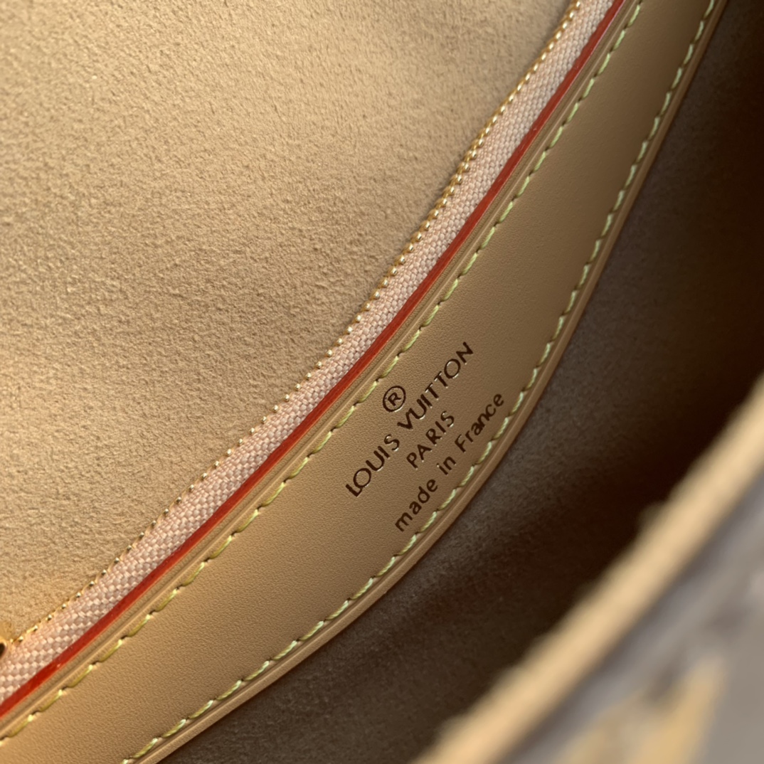 Louis Vuitton Diane Handbags-25*9*15CM