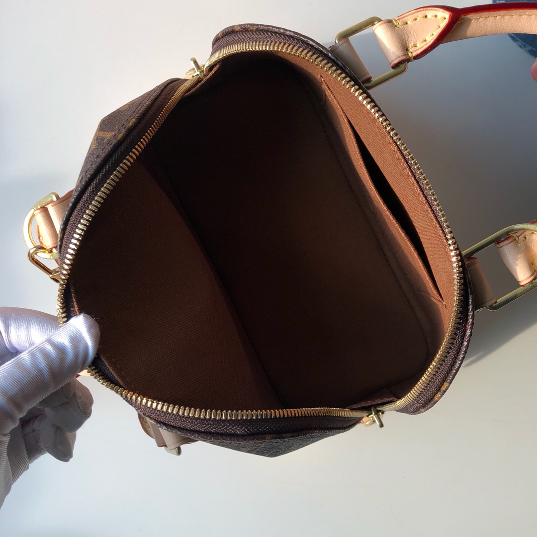 Louis Vuitton Alma BB-25*19*12CM