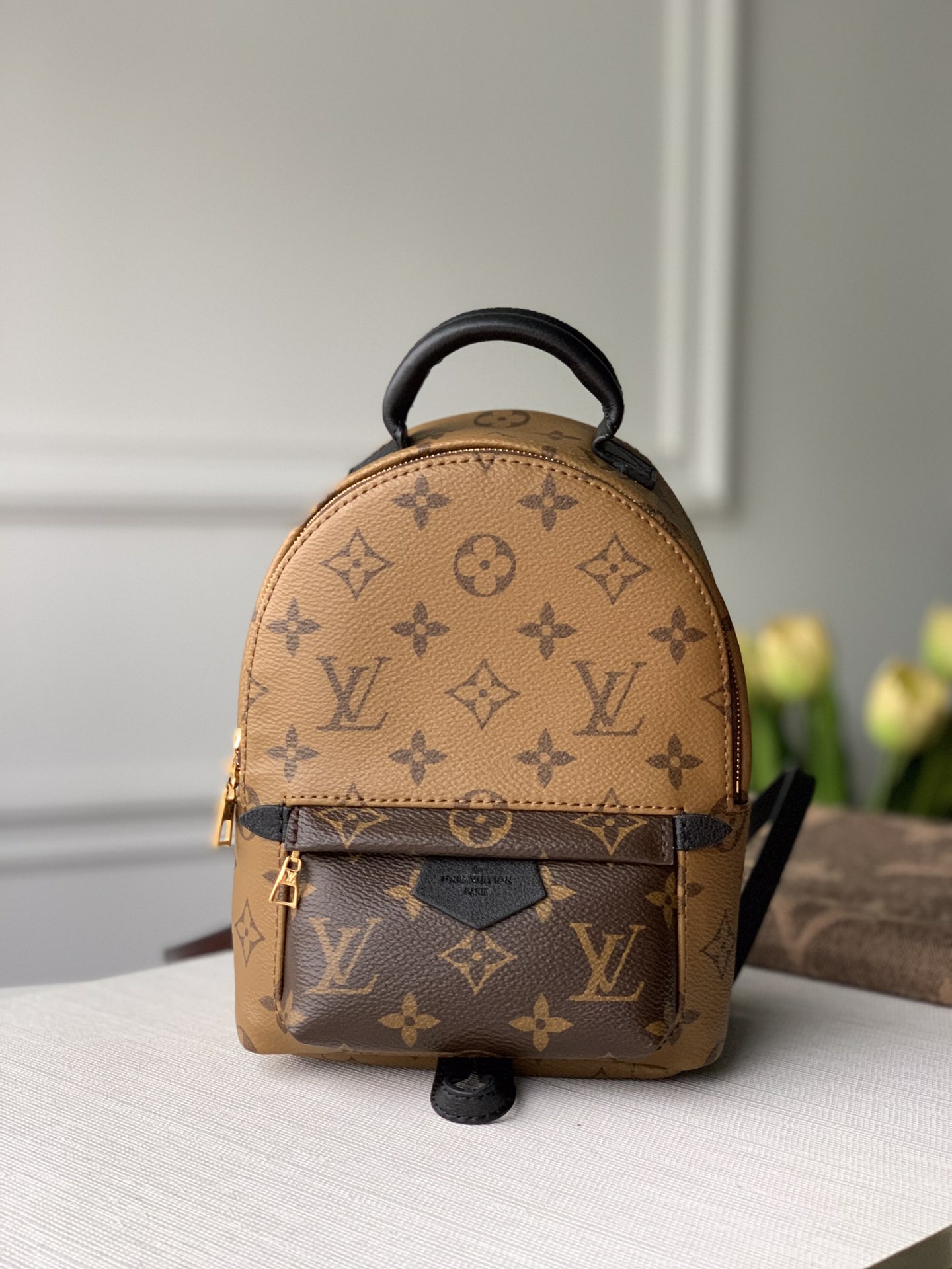 Louis Vuitton Palm Springs Mini My LV World Tour-22/15/9CM