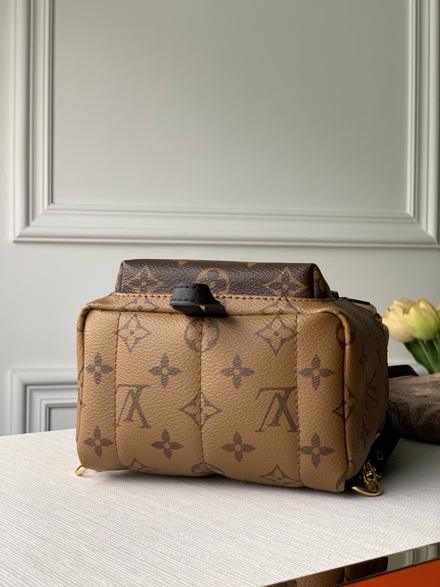 Louis Vuitton Palm Springs Mini My LV World Tour-22/15/9CM
