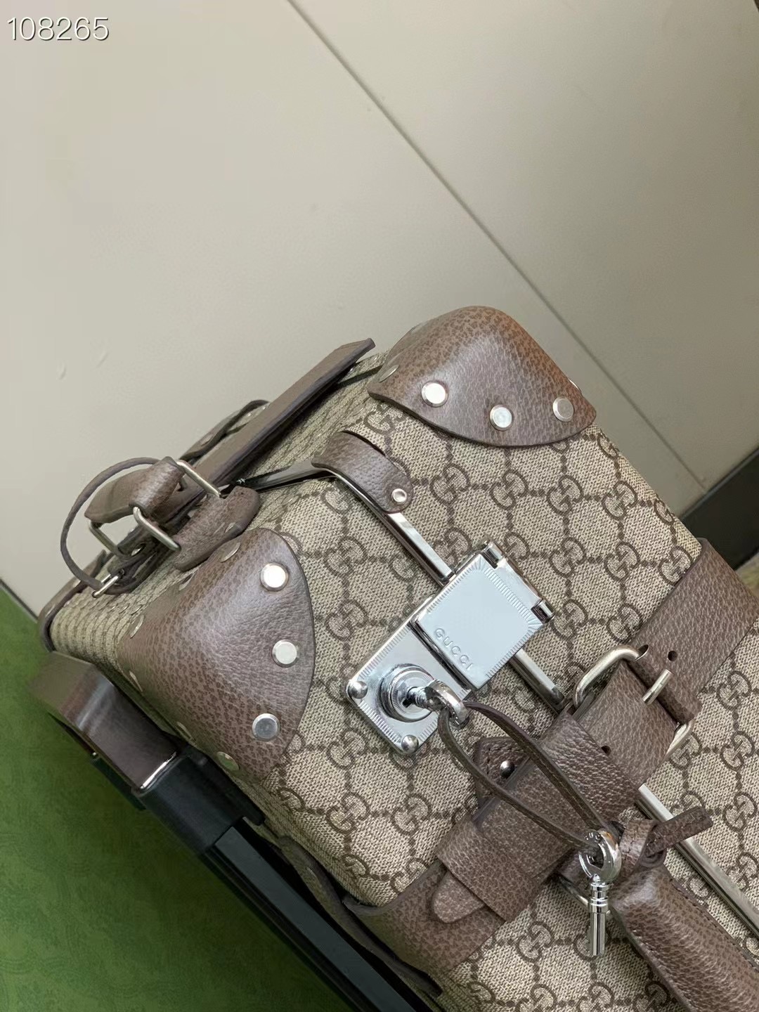 Gucci Globe-Trotter Travel Box