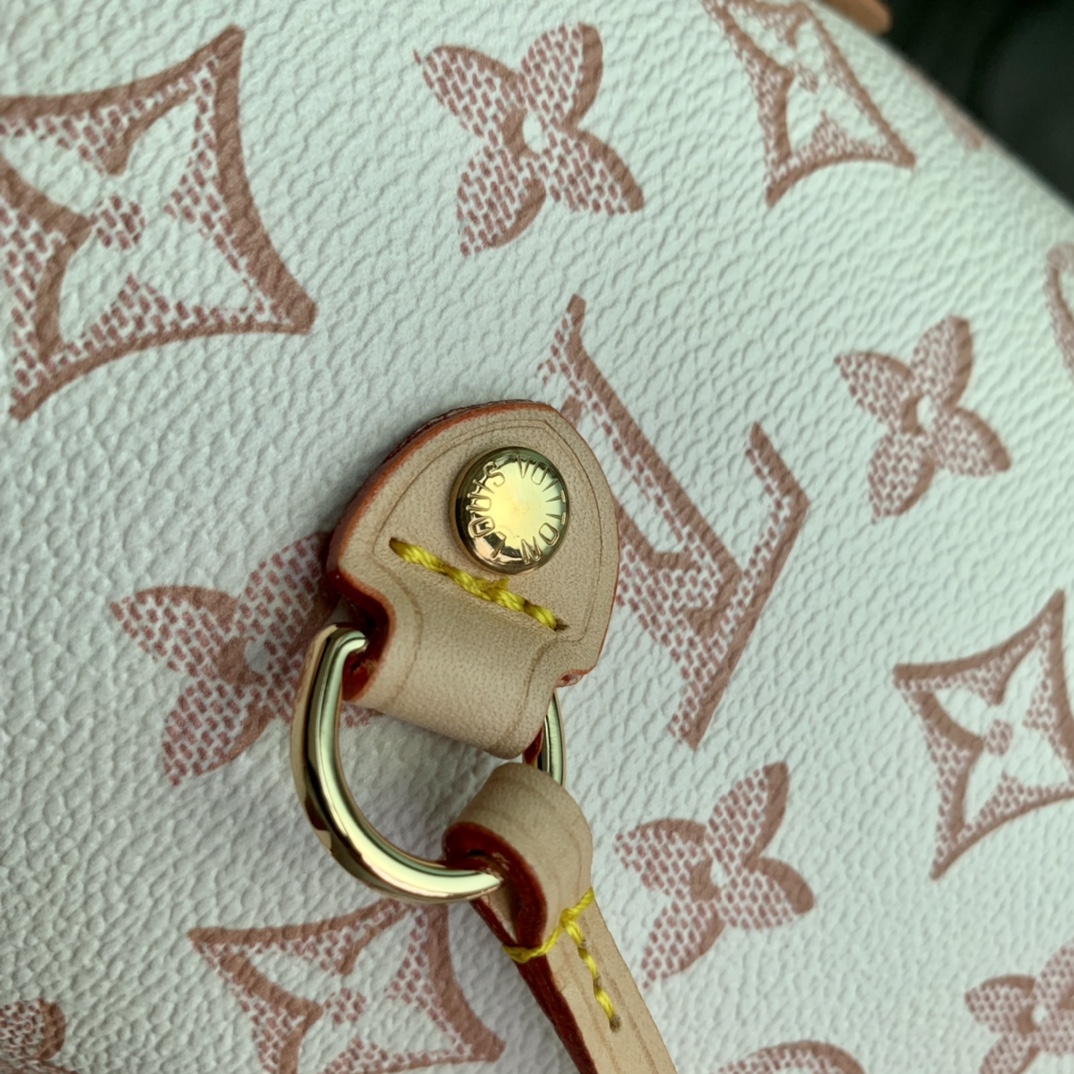 Louis Vuitton Neverfull M46102-32*29*17CM