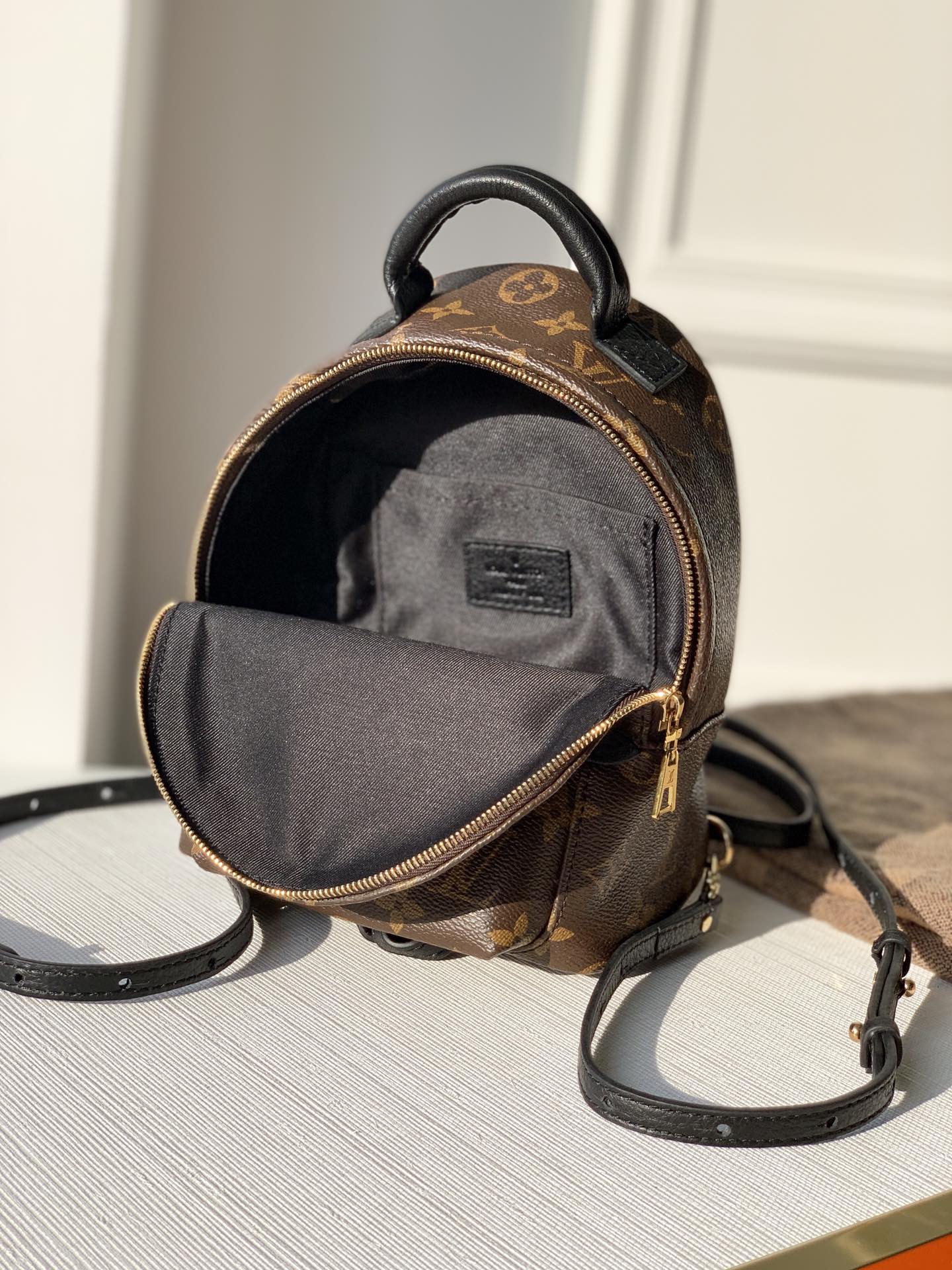 Louis Vuitton Palm Springs Mini My LV World Tour-22/15/9CM