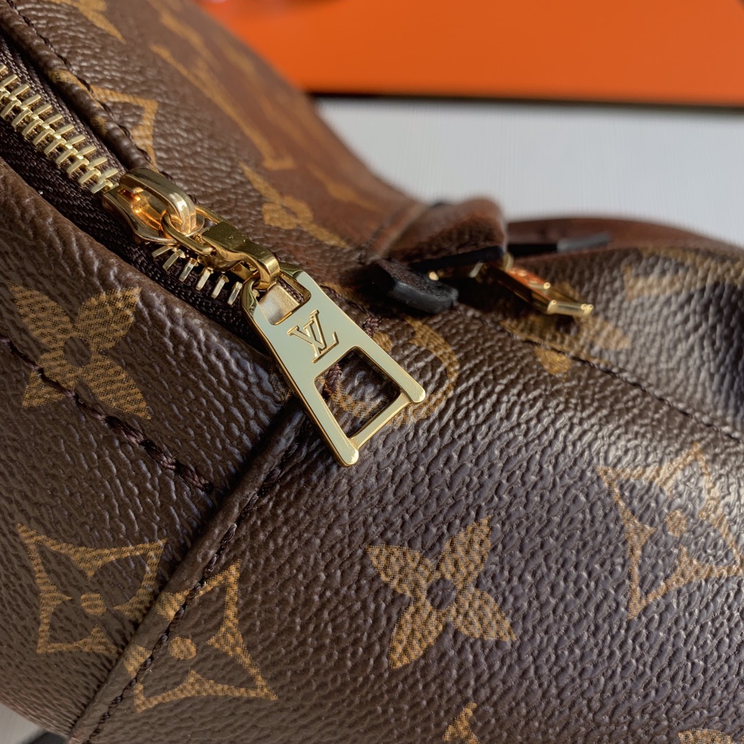 Louis Vuitton Palm Springs Mini My LV World Tour-22/15/9CM